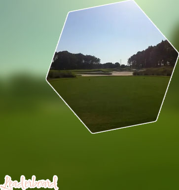 Memorial golf leaderboard
